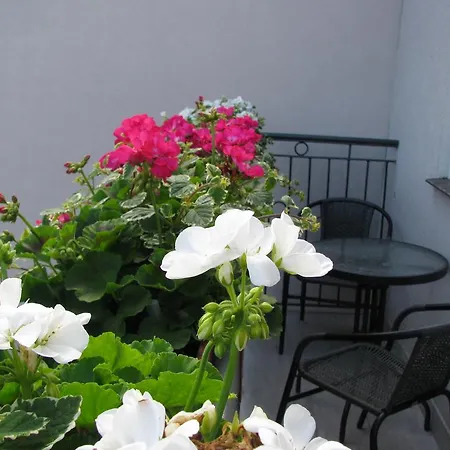 Norden Apartament Daire